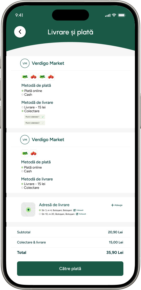 Imagine cu selectarea metodei de livrare si plata.